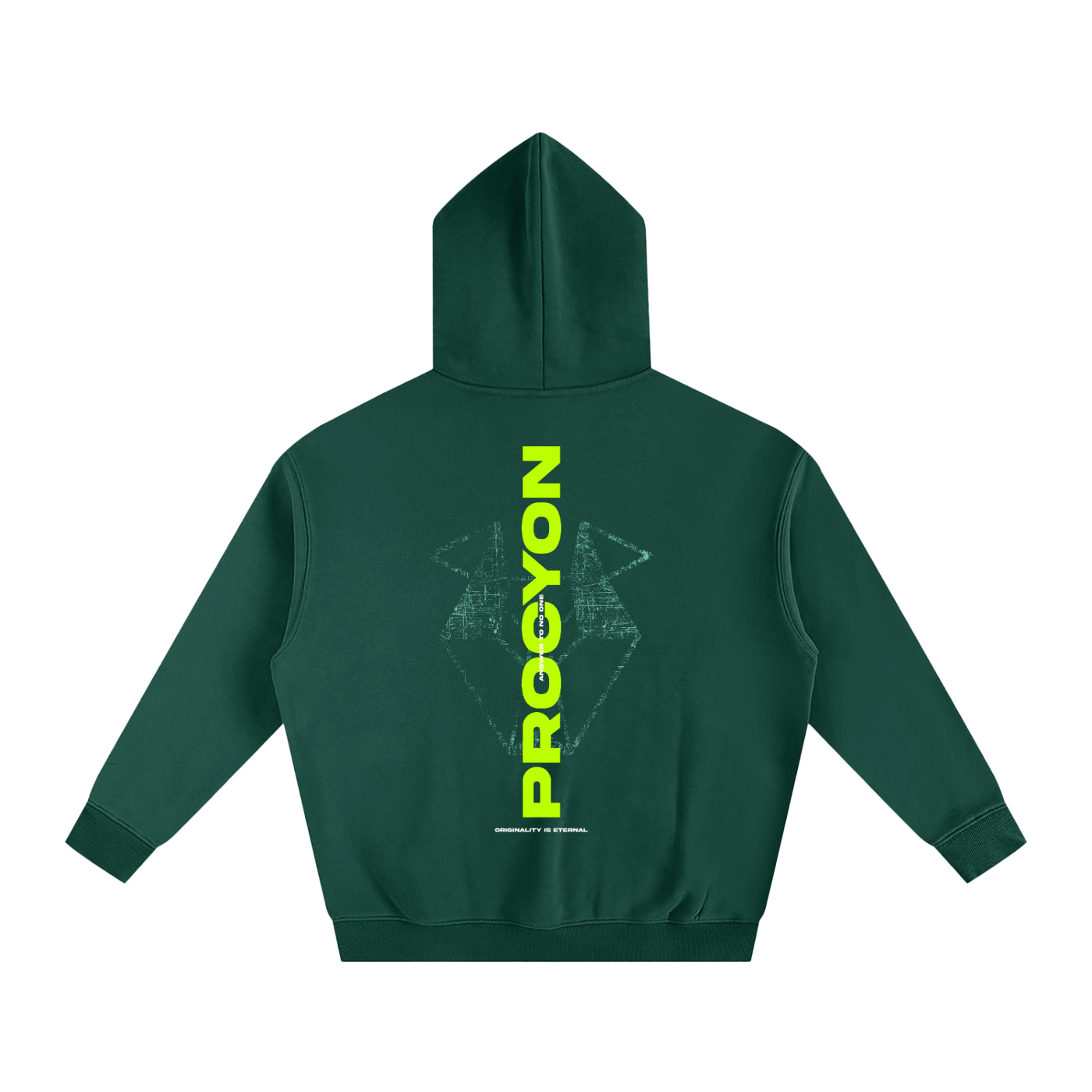 Procyon