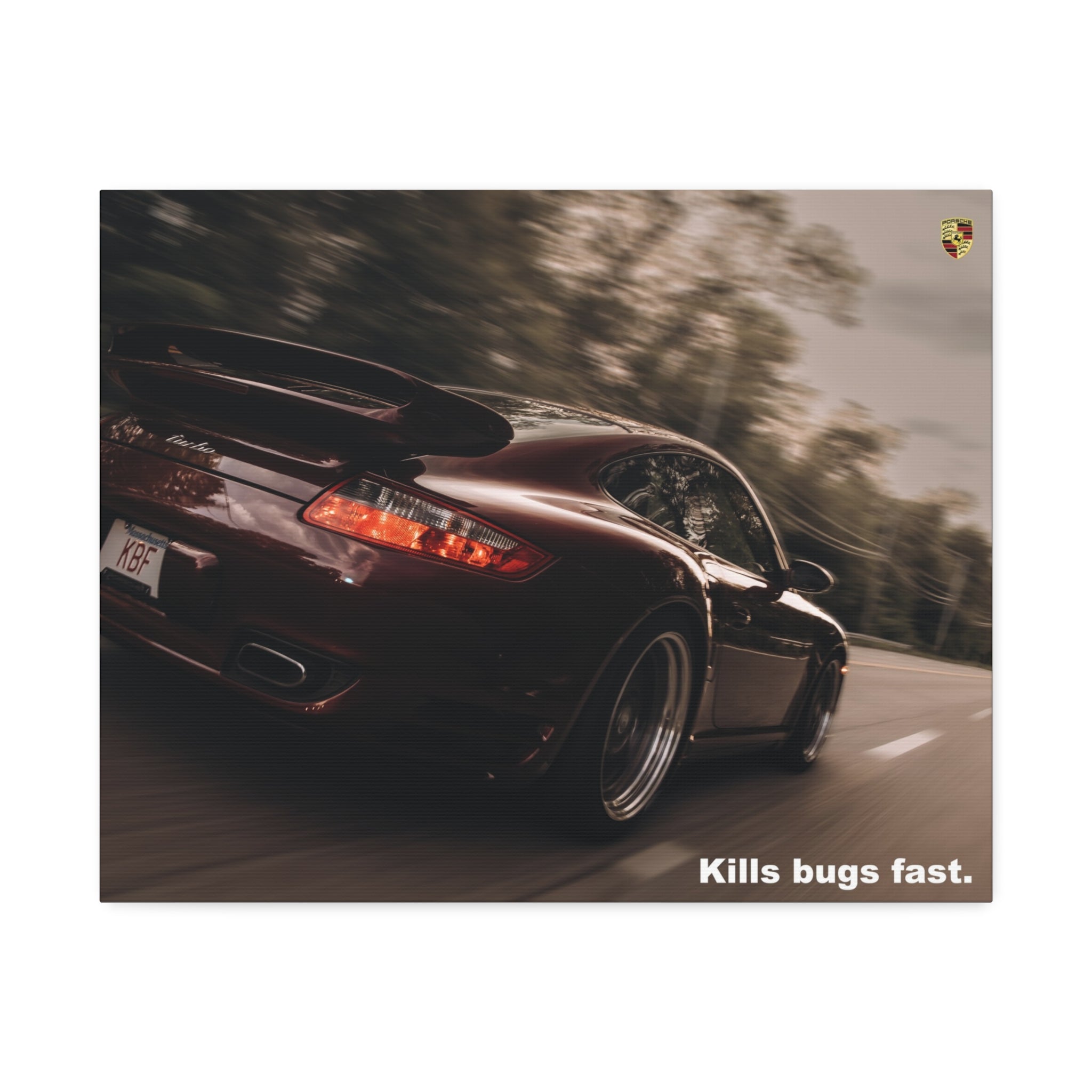 Racing Porsche "Kills bugs fast." Canvas